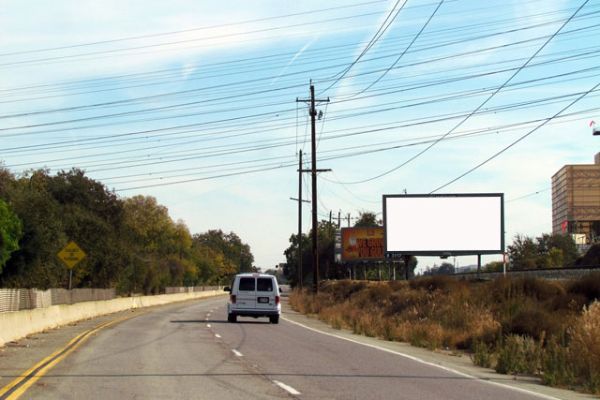 static in Seven Trees