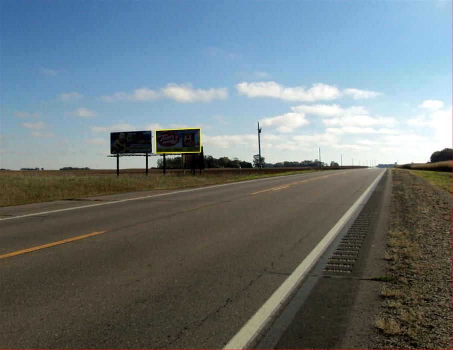 static in Springfield