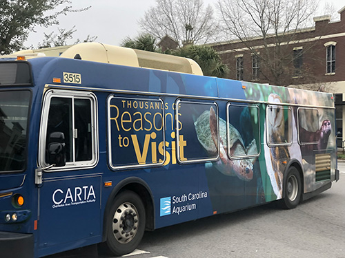 Charleston Bus Advertising