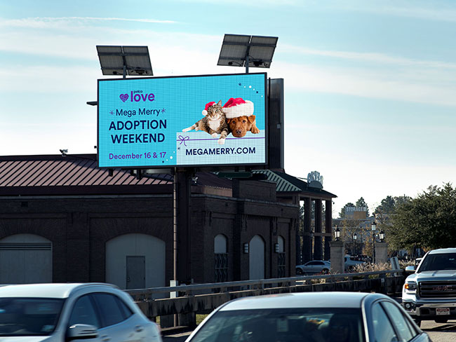 Petco Love Digital Out of Home (DOOH) Advertising 2