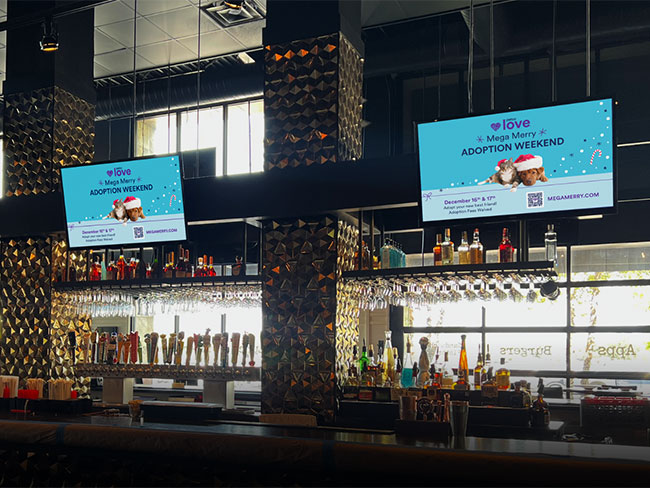 Petco Love Digital Out of Home DOOH Ad in Bar/Restaurant