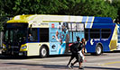 UFL Bus Ads